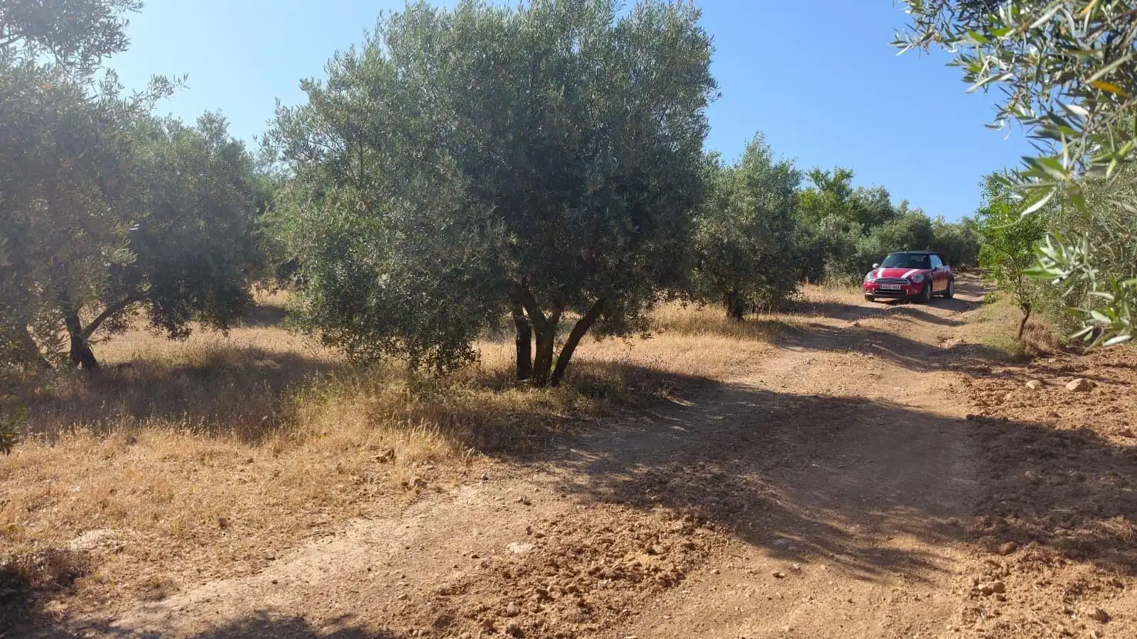 Terreni e lotti in vendita a Camino Cogollos de la Vega 11, imagen 6