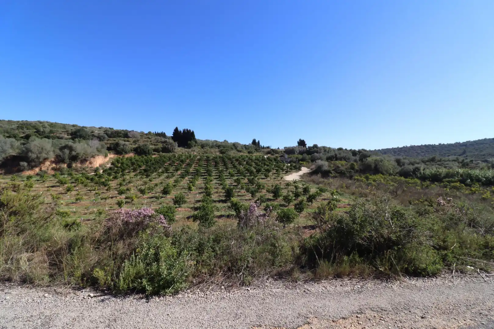 Grundstücke zum Verkauf in Ulldecona