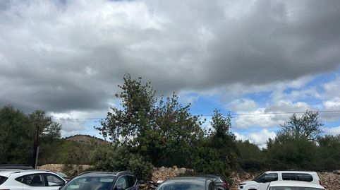 Foto 3 de Planta baixa en venda a Son Roca, Palma de Mallorca