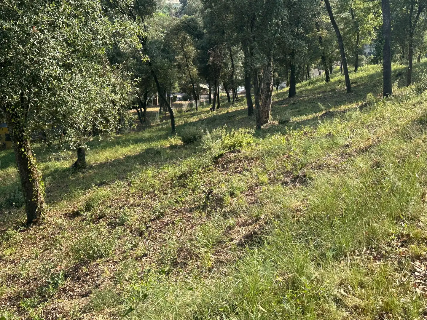 Residencial en venta en Santa Maria de Palautordera