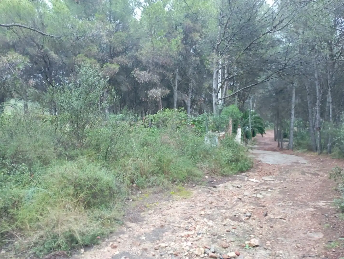 Terreno rustico in vendita a Camino 2 39, imagen 9