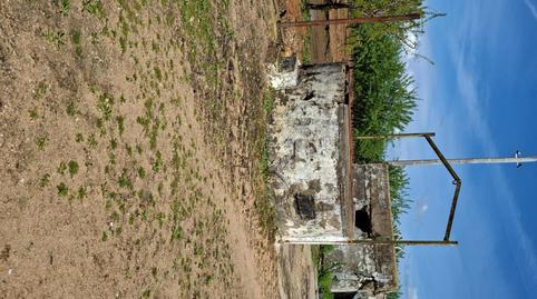 Photo 4 of Land for sale in Polígono Polígono 85 Paraje 534 Mataburras, Pedanías Sur, Sevilla