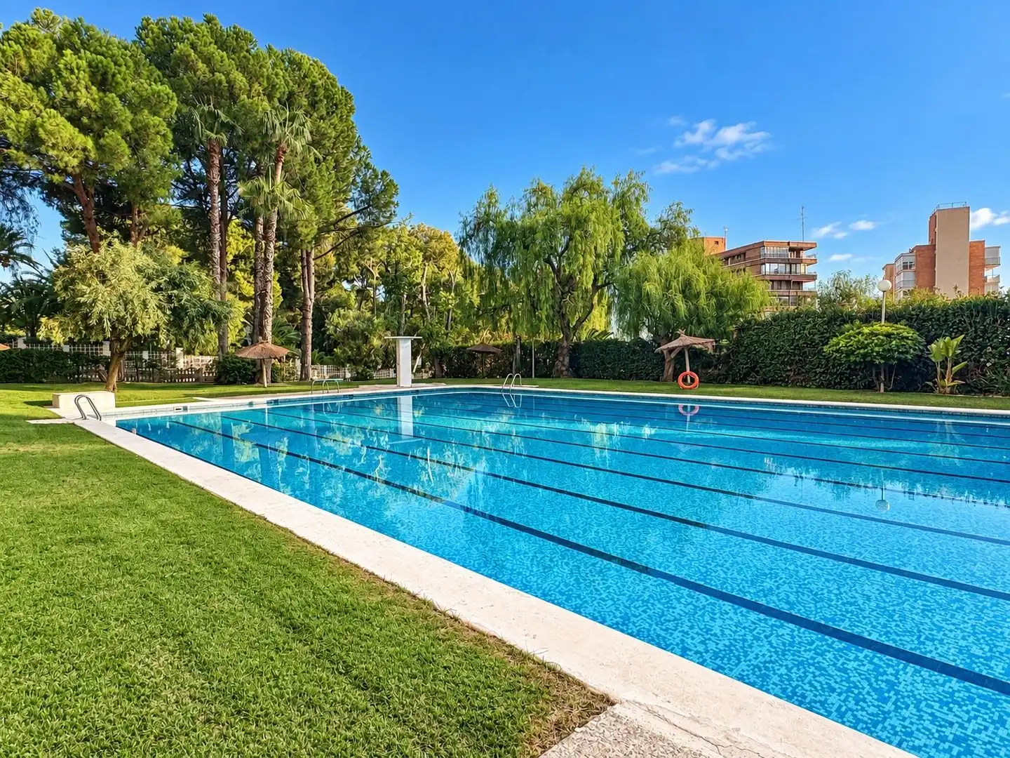 Apartament amb terrassa en venda a Calle DAFNE, imagen 19