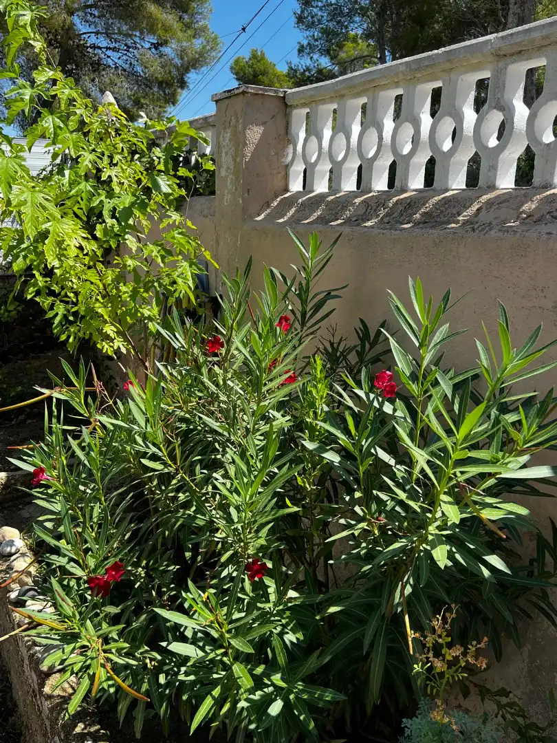 Garden of Houses for sale in El Vendrell  with Air Conditioner, Heating and Private garden