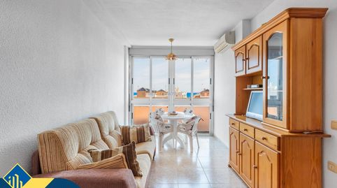 Apartamento con terraza, en la provincia de Alicante, en la ciudad de Torrevieja, en el barrio de La Mata. 1 habitación | 50 m² |, imatge 3
