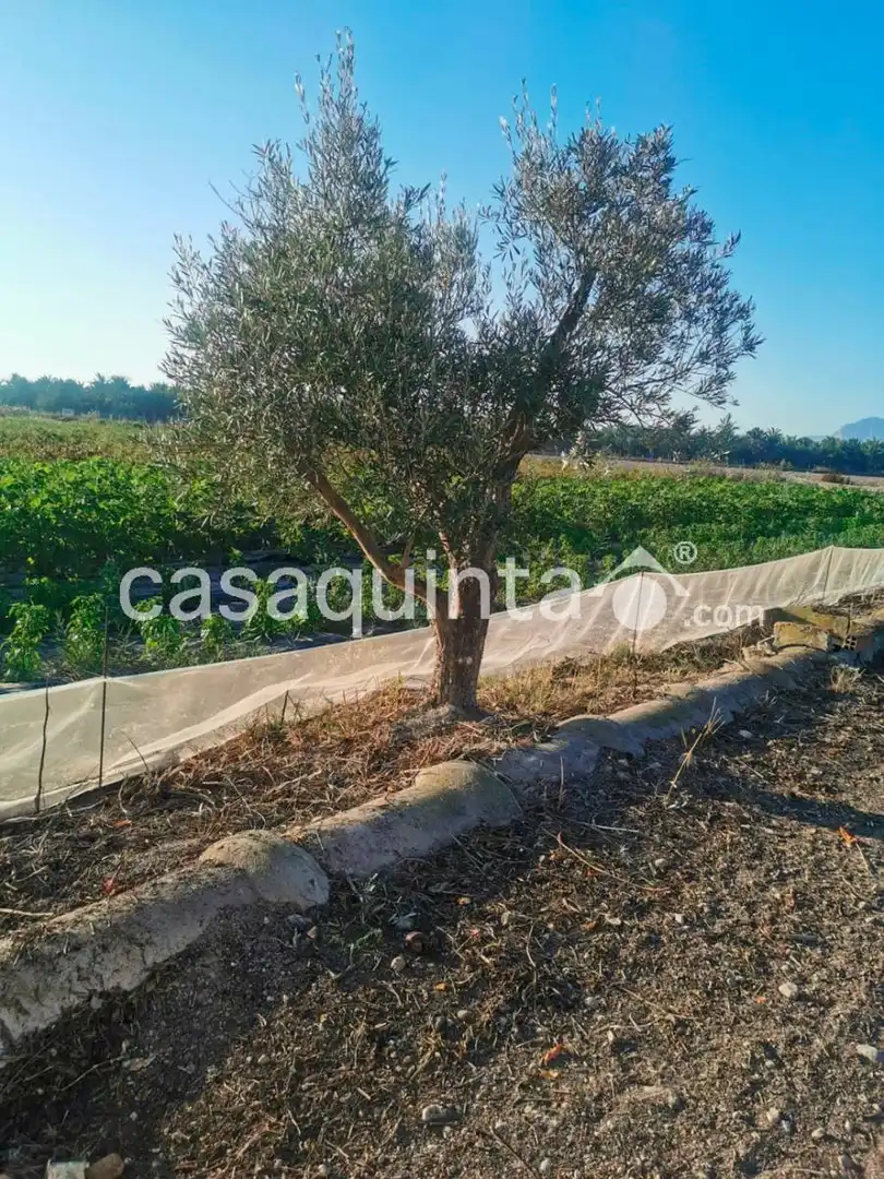 Villa à vendre à Cam. Cementerio, imagen 17