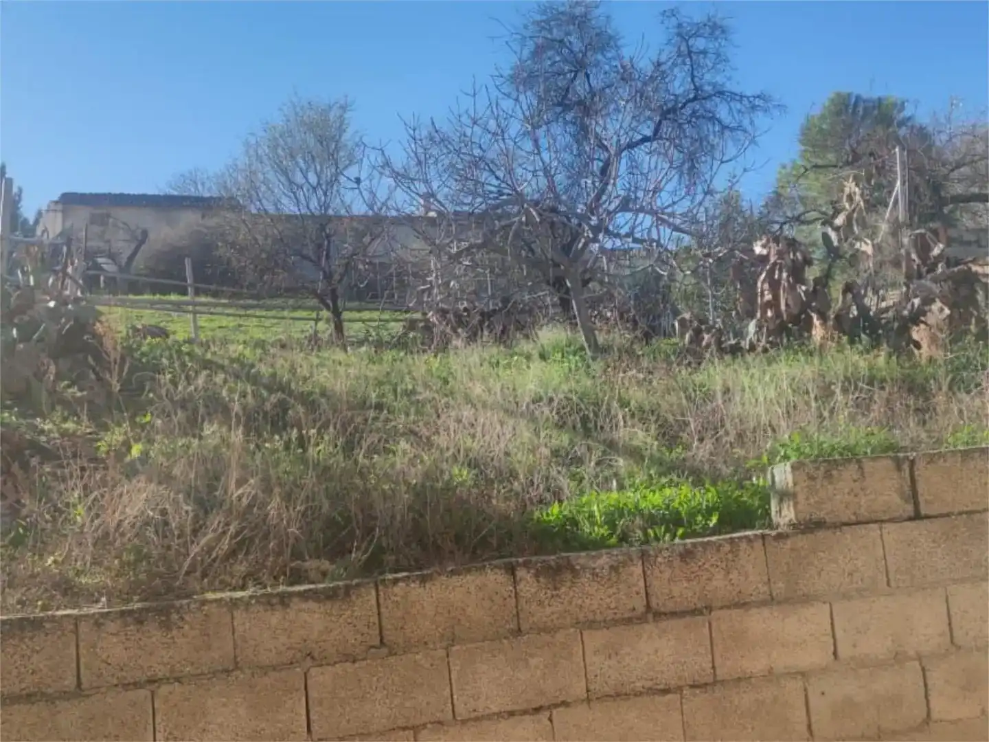 Finca rústica en venda en Peal de Becerro