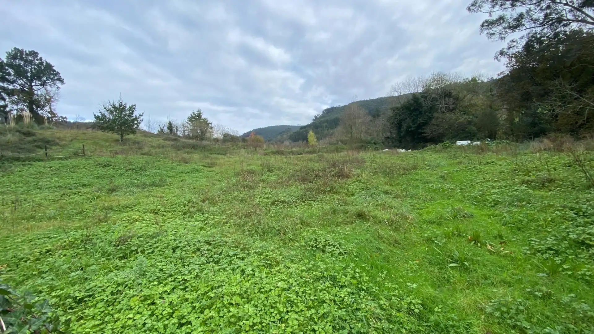Residential for sale in Limpias