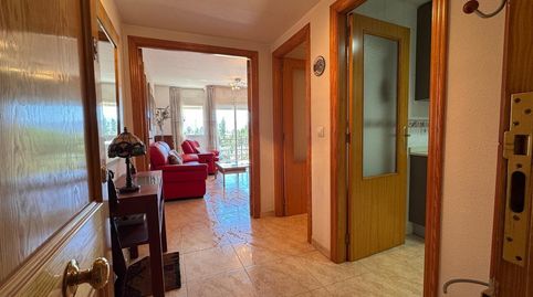 Foto 3 de Piso de alquiler en Federico Garcia Lorca, 4, El Ranero, Murcia Capital