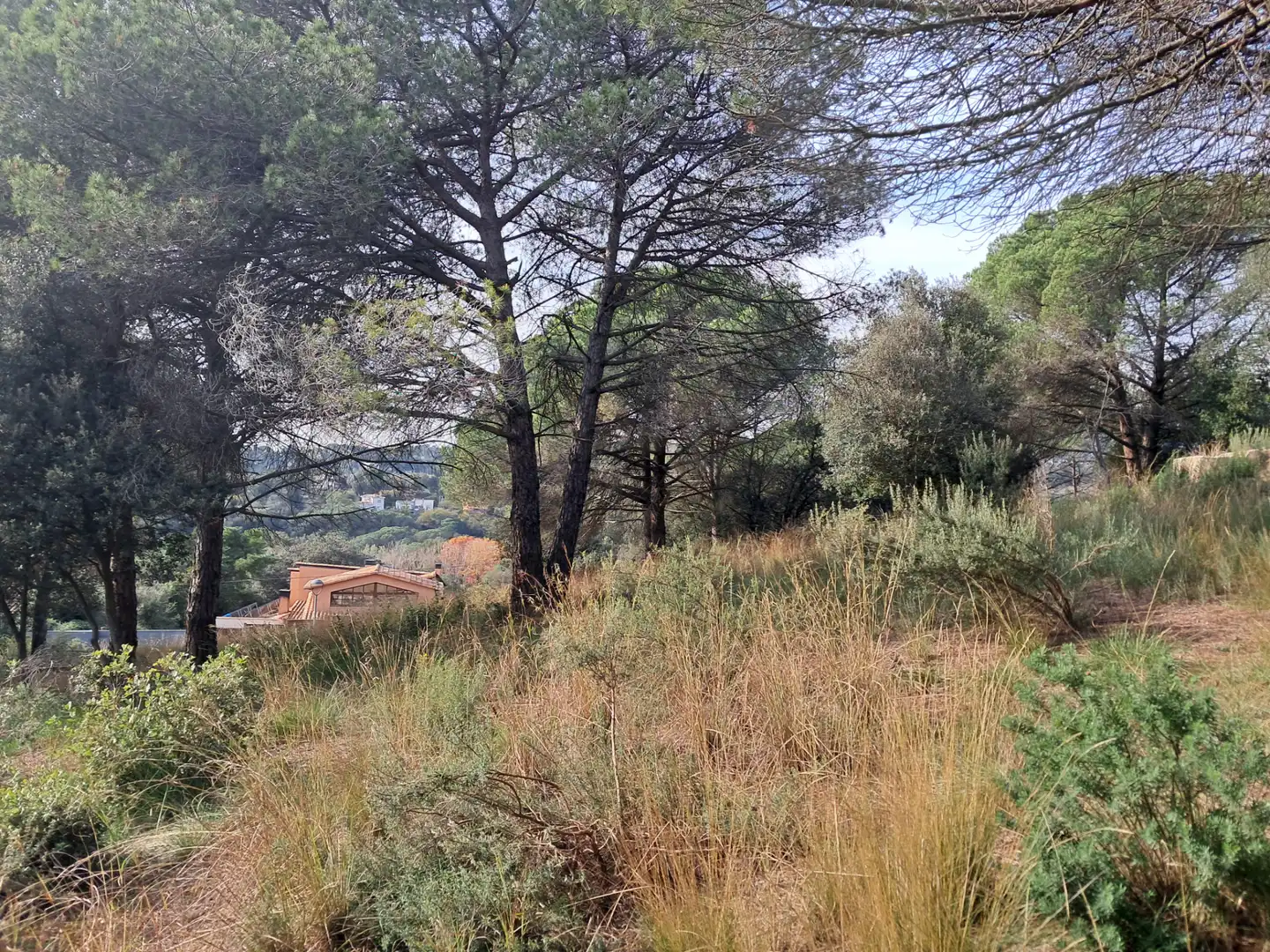 Residential land for sale in Carrer de Sant Bernat 72, imagen 2