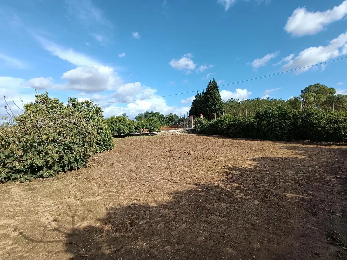 Finca rústica en venda en Jerez de la Frontera