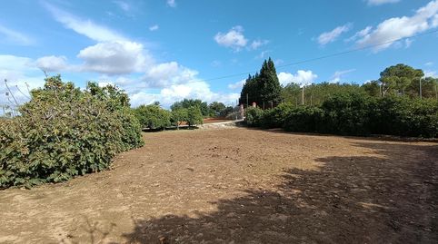 Foto 5 de Finca rústica en venda a Parque Atlántico - Ronda este, Jerez de la Frontera