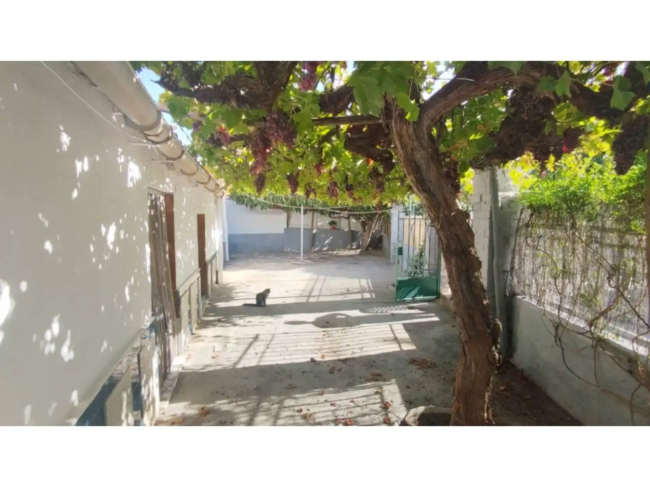 Vista exterior de Casa o xalet en venda en Benalúa amb Jardí privat