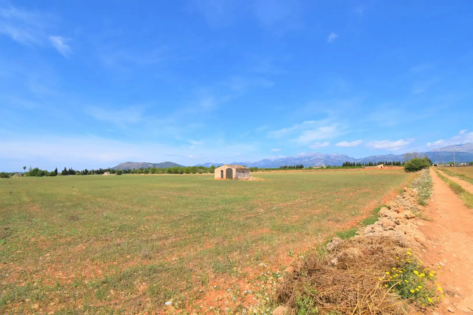 Finca rústica en venda a Llubí