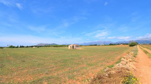 Photo 2 of Country house for sale in Llubí, Illes Balears