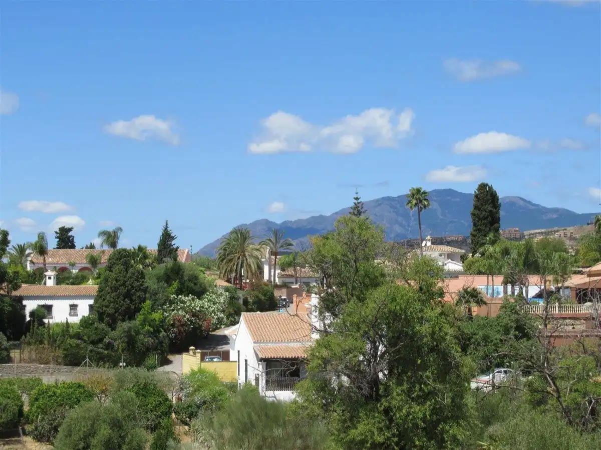 Detached homes for rent in Guadalmina Alta