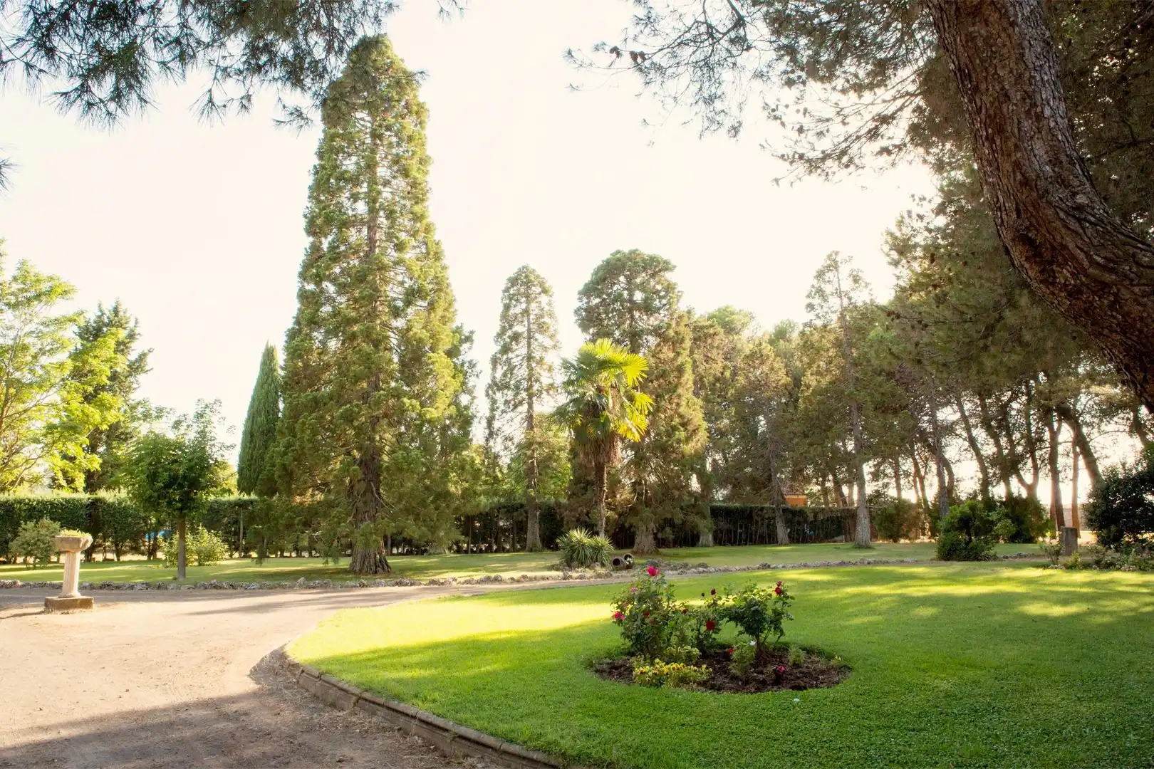 Garden of Houses for sale in Salamanca  with Heating and Terrace
