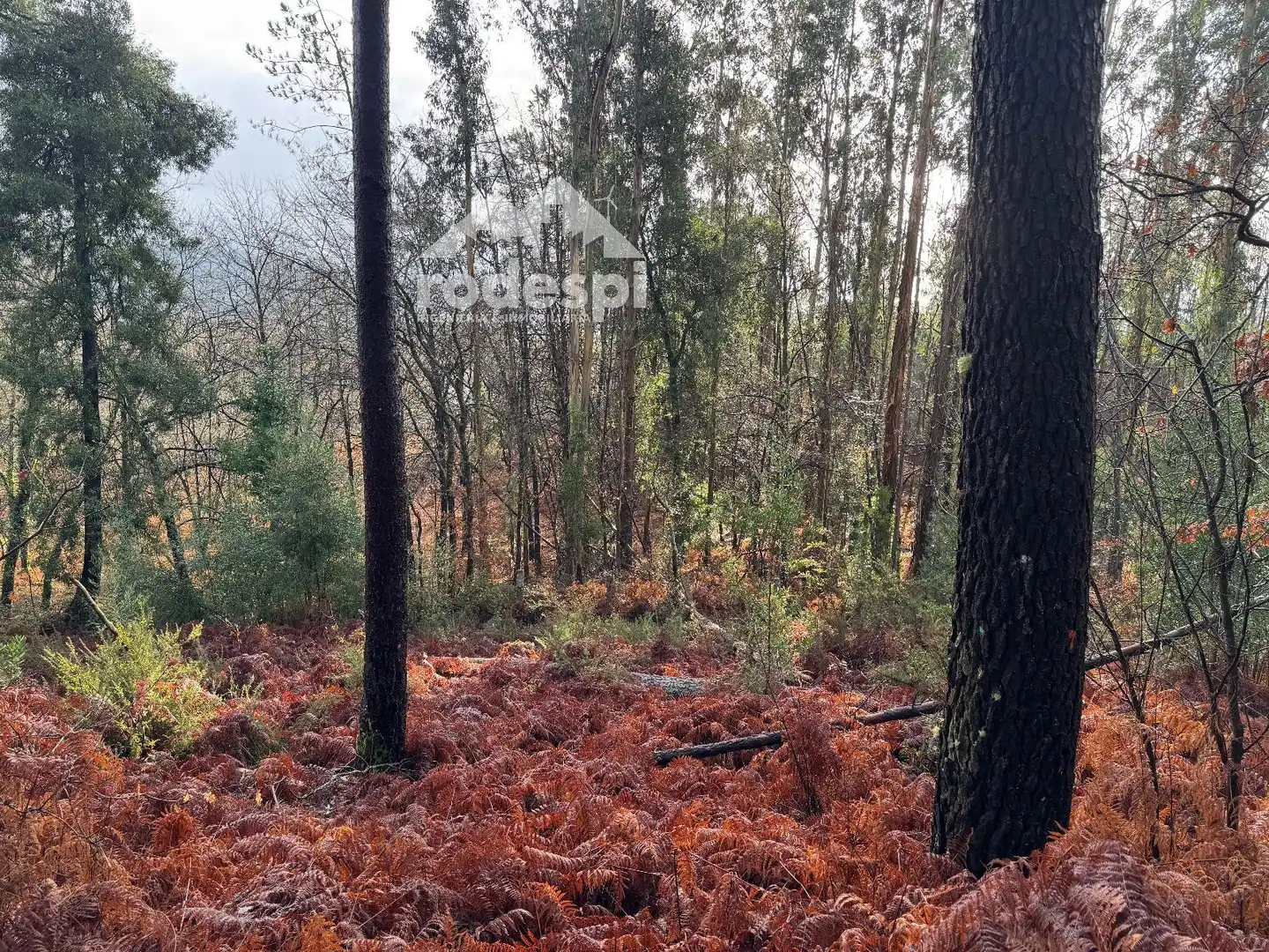 Terrenys i solars en venda a Ponteareas, imagen 6