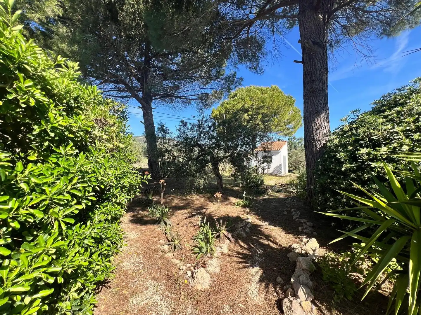 Haus oder Chalet zum Verkauf in La Ràpita mit Privatgarten, Terrasse und Möbliert