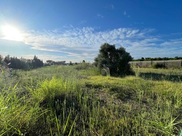 Terreno rustico in vendita a Camino Segador de Samuel