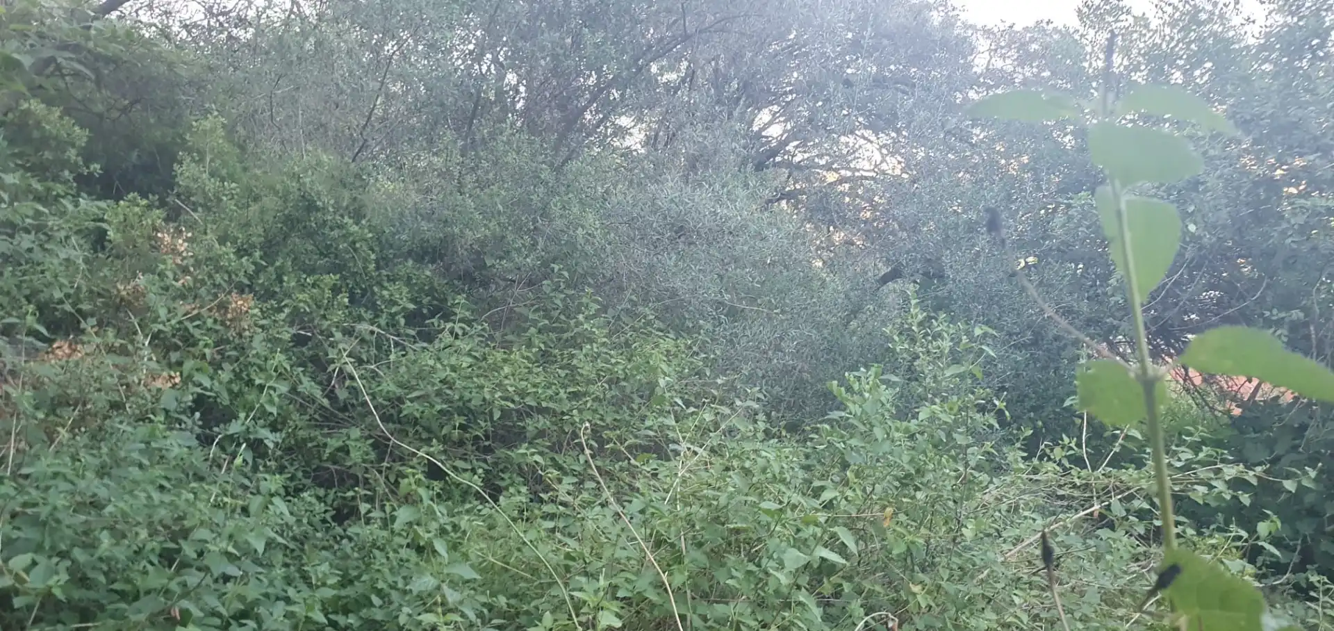 Nave industrial in vendita a camí Racó dels Frares, imagen 14