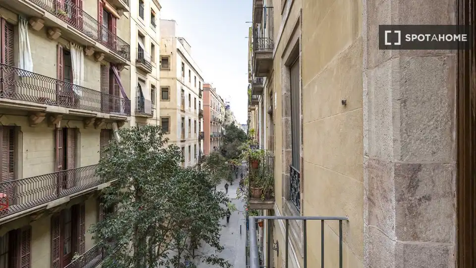 Piso en alquiler en Ciutat Vella, imagen 15
