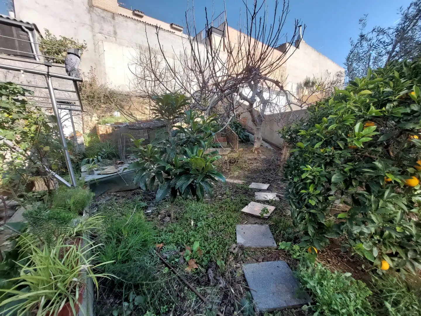 Grundstücke und Bauplätze zum Verkauf in Ca n'Oriol, imagen 6