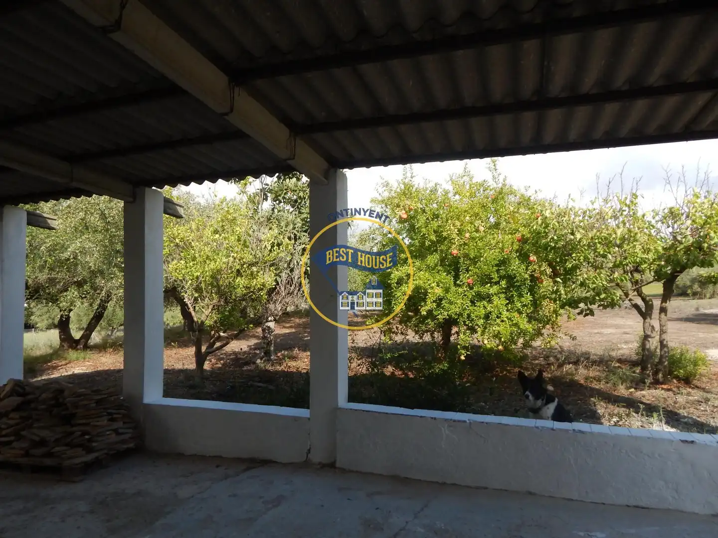 Villa avec jardin à vendre à Sant Josep - Zona Hospital, imagen 22
