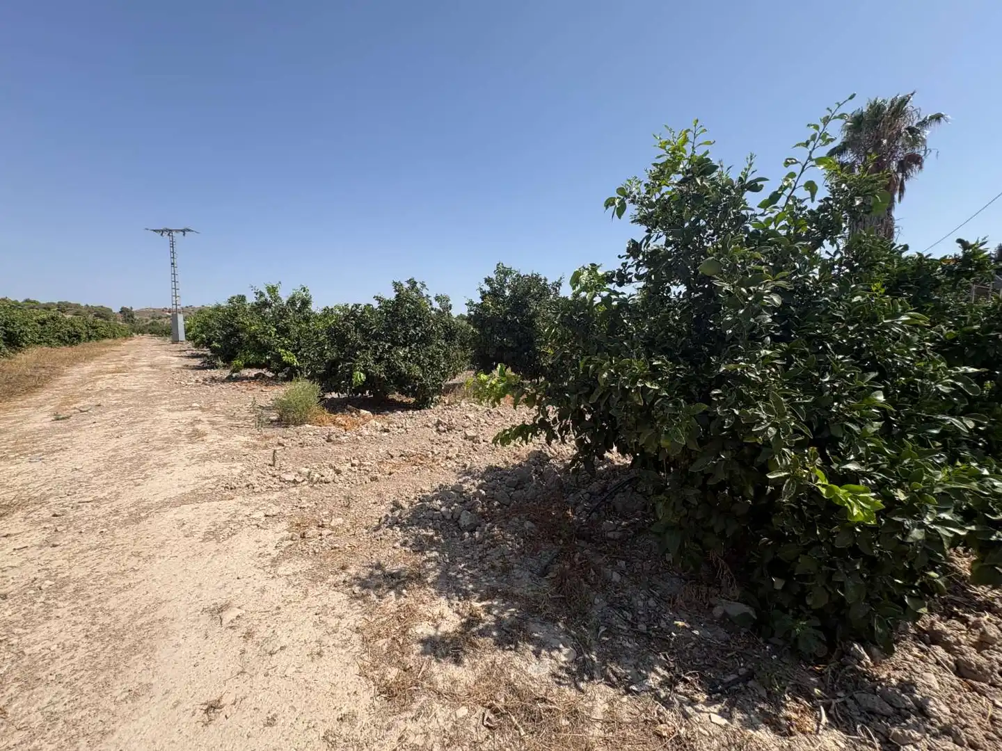 Terrenos y solares en venta en Mula, imagen 4