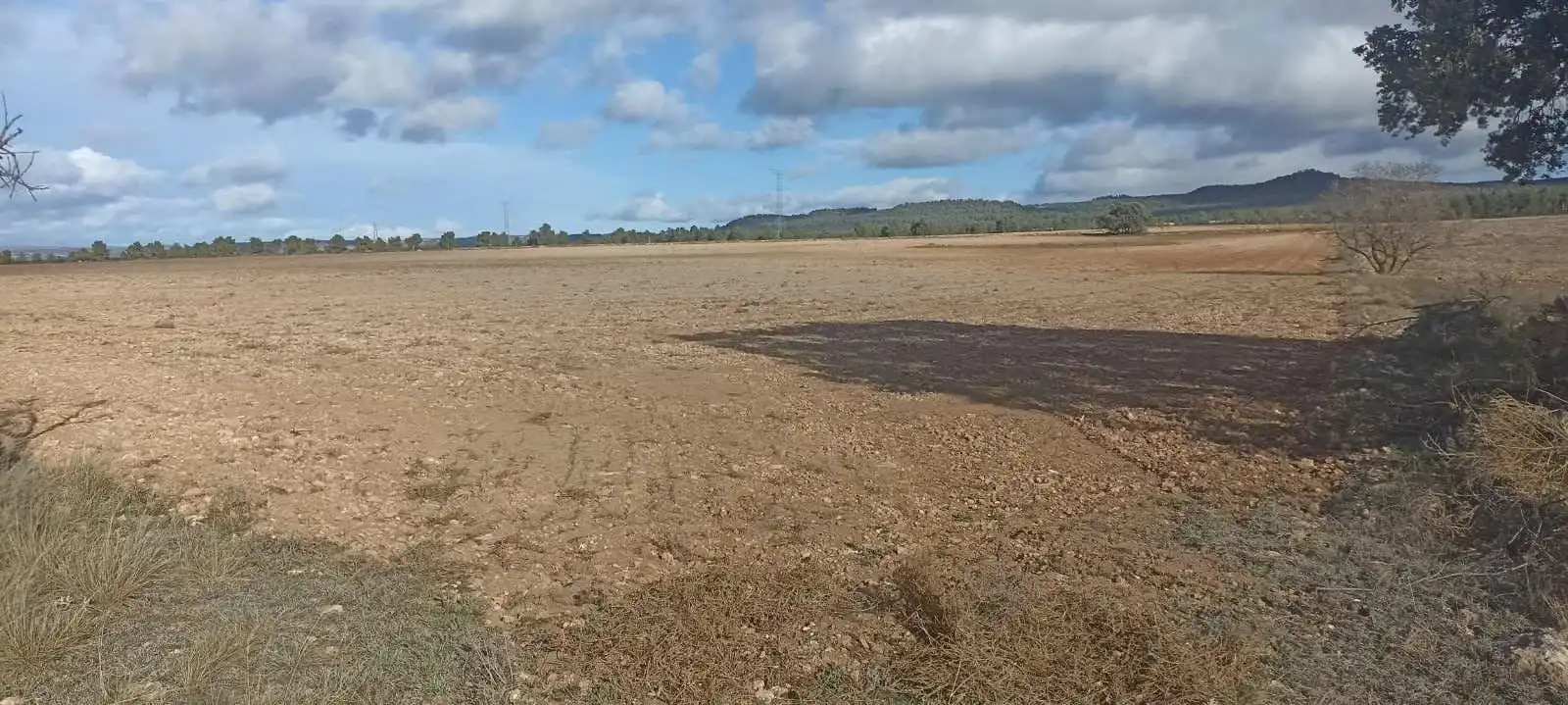 Terreny rústic en venda a Ayora, imagen 18