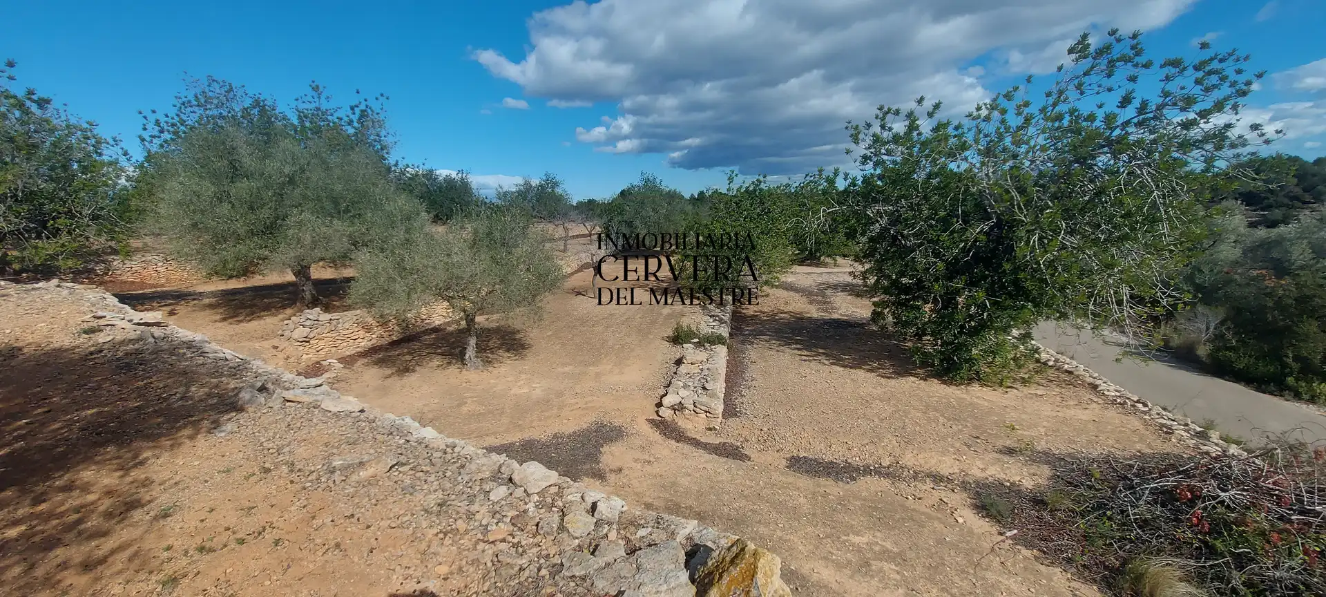 Terreno rustico in vendita a Partidas de interior - Zona Rústica, imagen 10