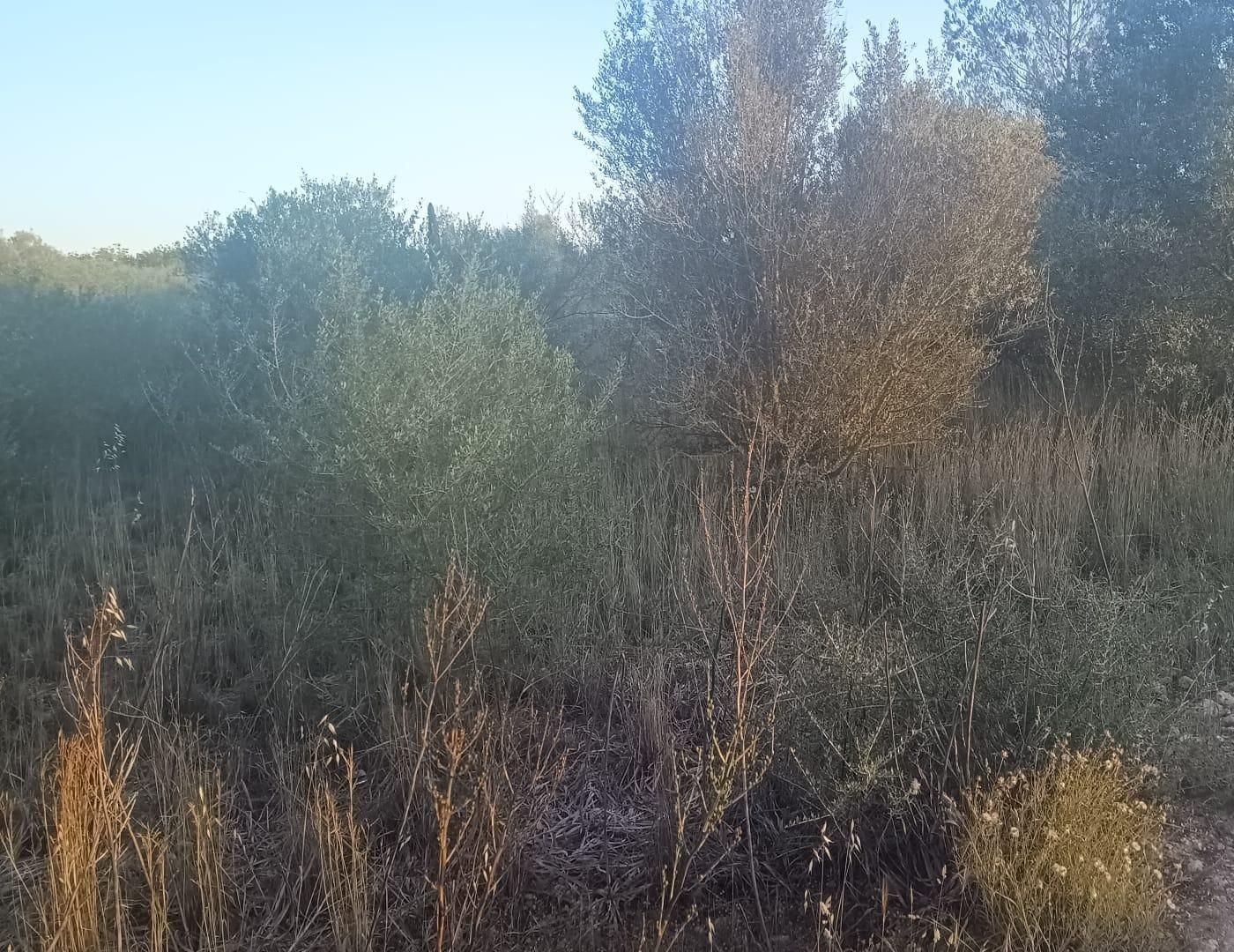 Terreno en venta en Santa Eugènia