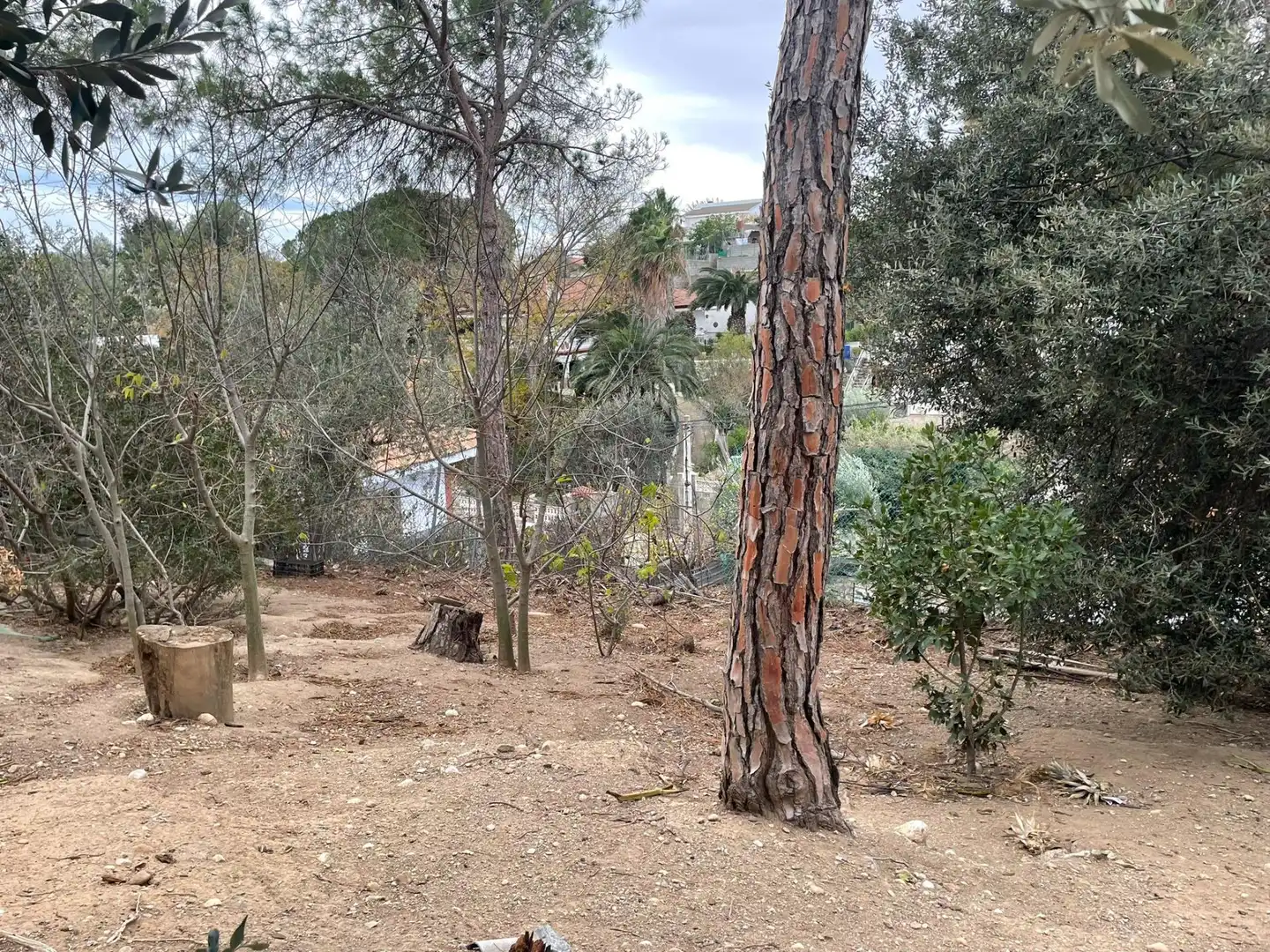 Terreno residenziale in vendita a Els Hostalets de Pierola, imagen 16