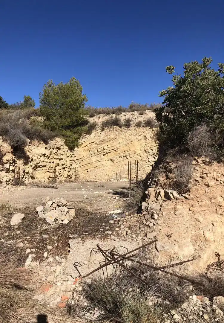 Vista exterior de Terreno en venta en Pedralba