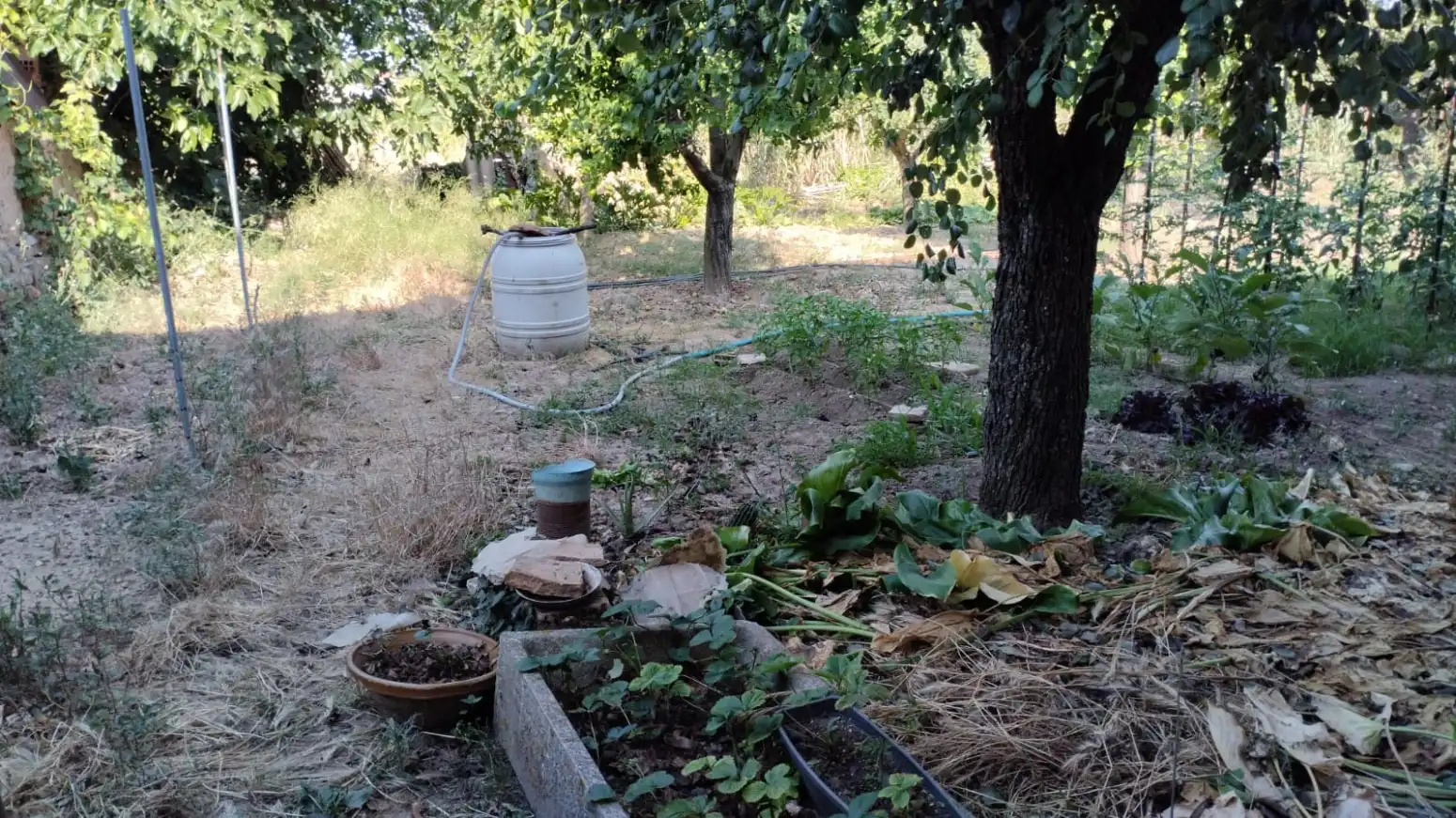 Jardí de Casa adosada en venda en El Redal amb Calefacció i Jardí privat