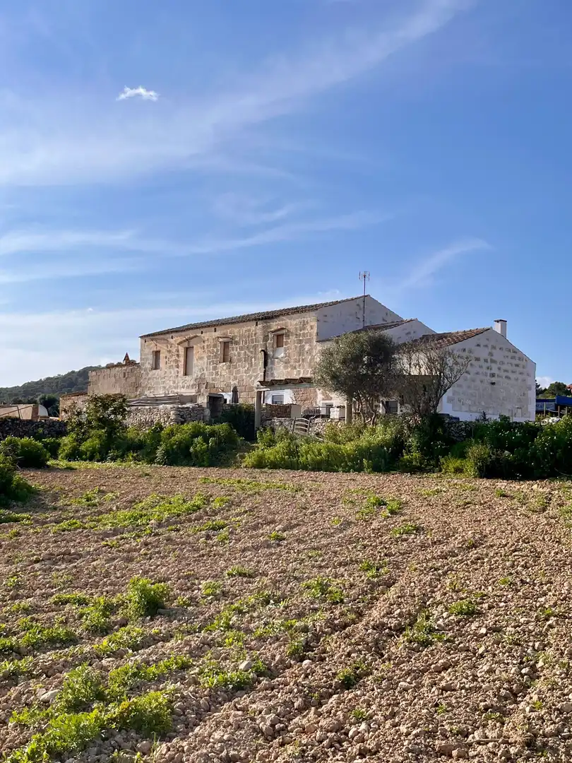 Vista exterior de Terreno en venta en Alaior