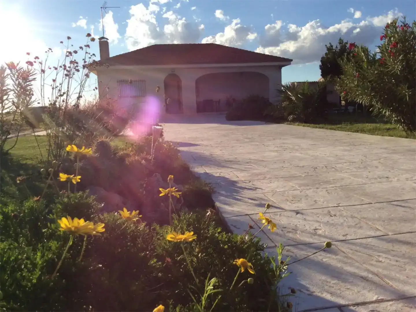Vista exterior de Casa o xalet en venda en Cubas de la Sagra amb Aire condicionat i Piscina