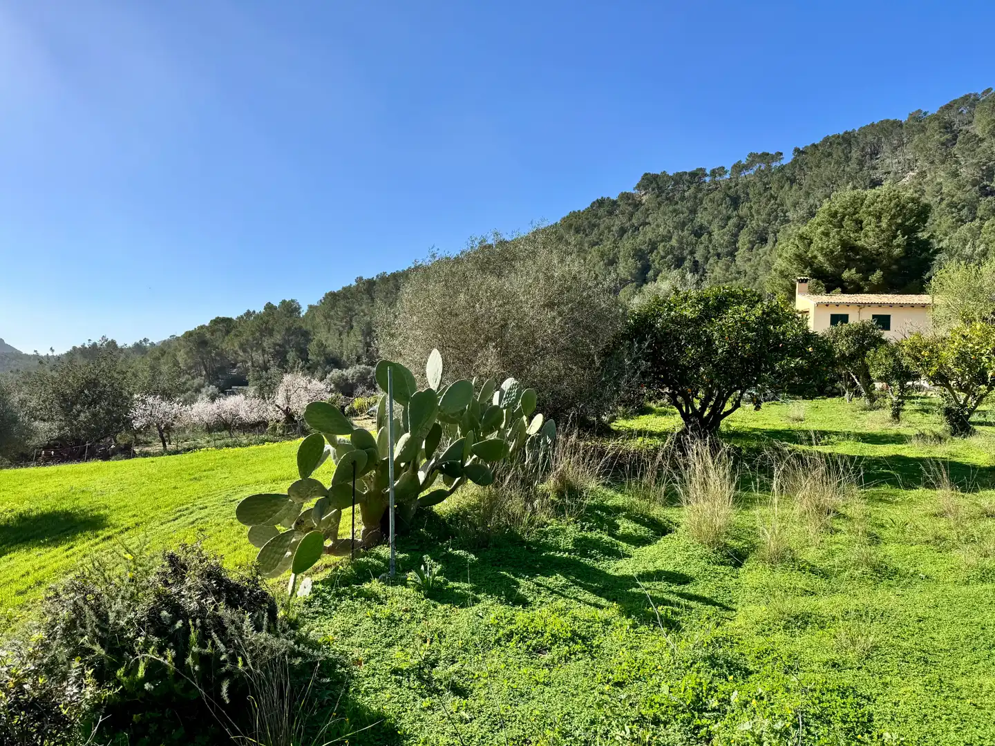 Casa rústica con terraza en venta en Carrer Pere Seriol 5, imagen 3