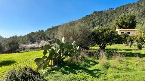 Foto 3 de Finca rústica en venda a Carrer Pere Seriol, 5, Andratx pueblo, Andratx