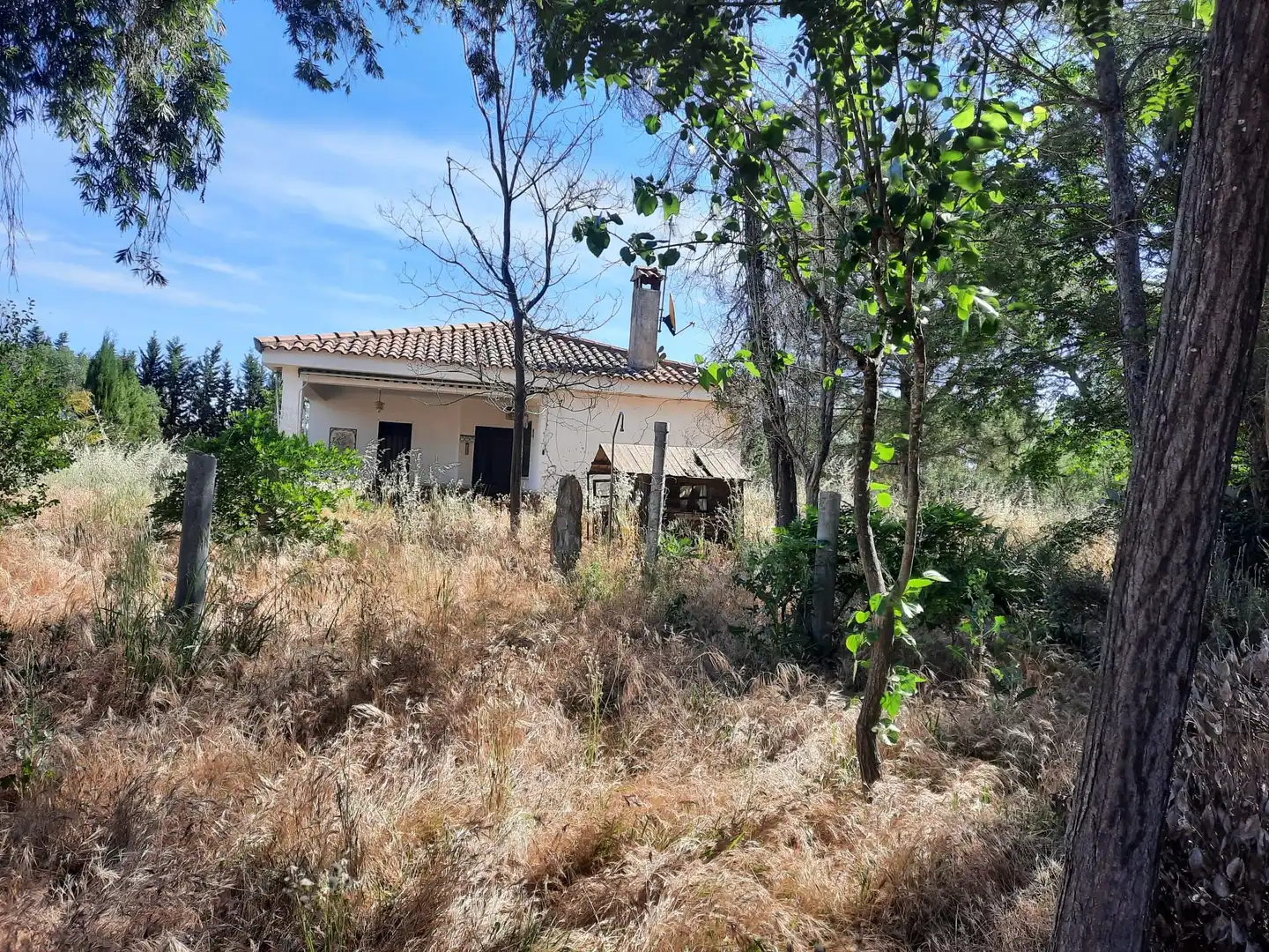 Chalet con piscina en venta en Pedanías de Badajoz, imagen 30