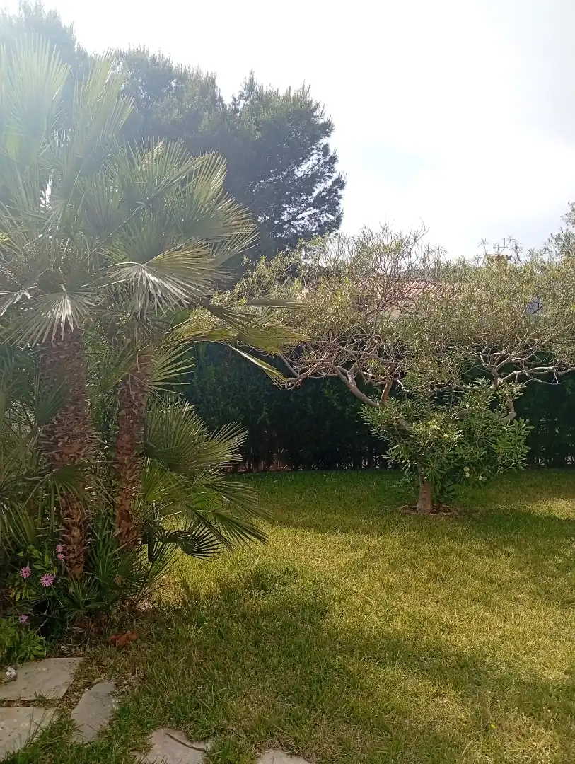 Jardí de Casa o xalet en venda en Oropesa del Mar / Orpesa amb Jardí privat, Terrassa i Traster