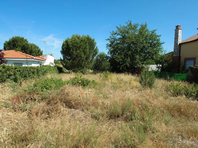 Terreno en Venta en Calle Pimpolladas, 16 en Traspinedo