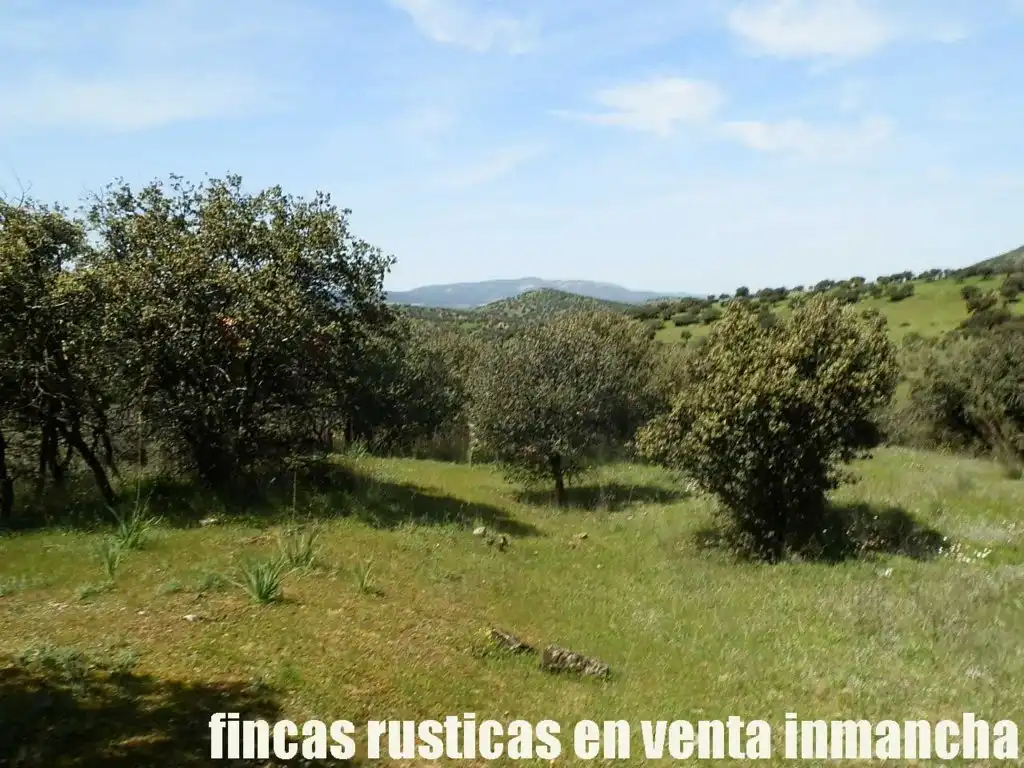 Rural land for sale in Calzada de Calatrava, imagen 9