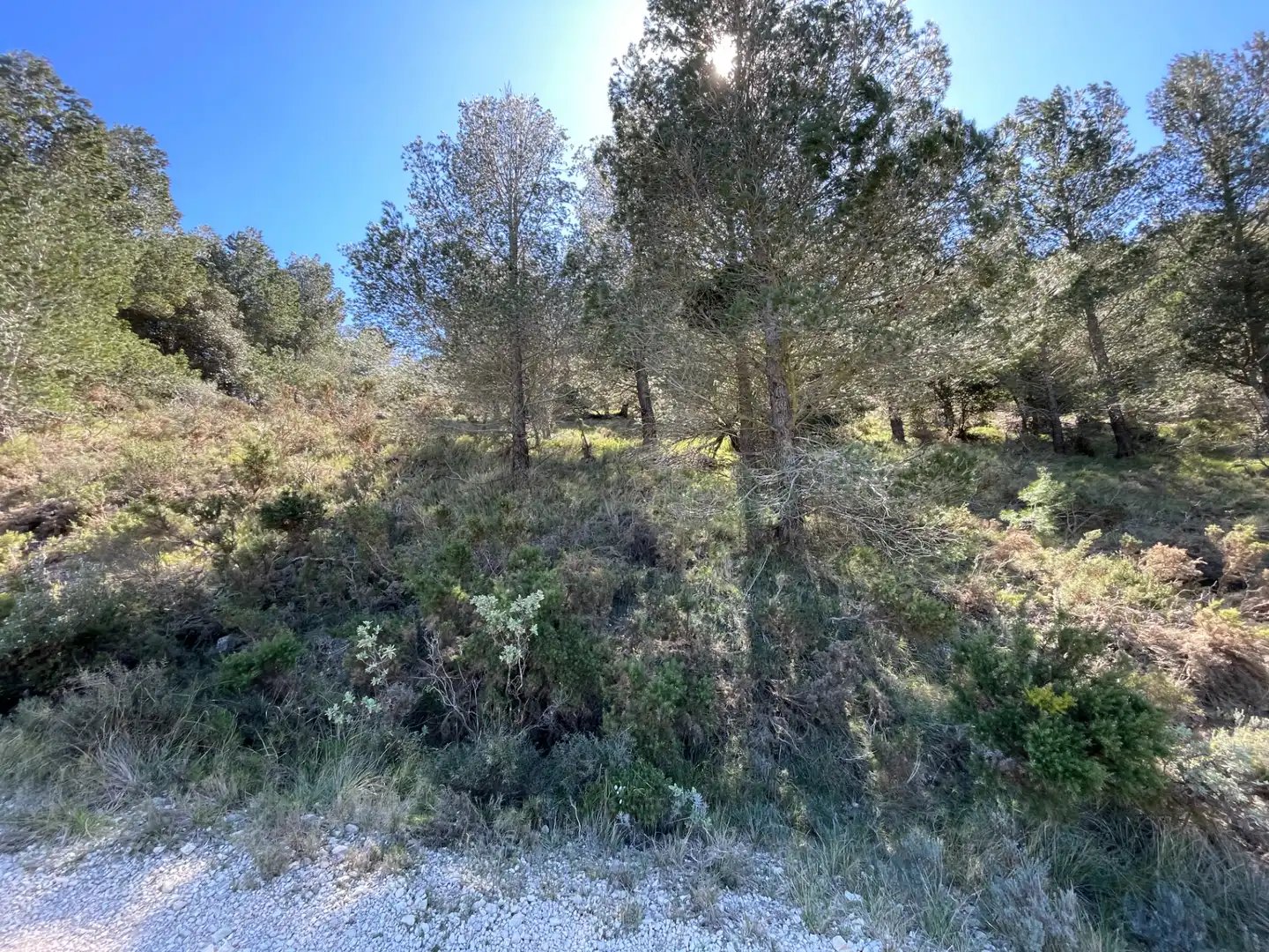 Terrain rustique à vendre à Tivissa, imagen 6