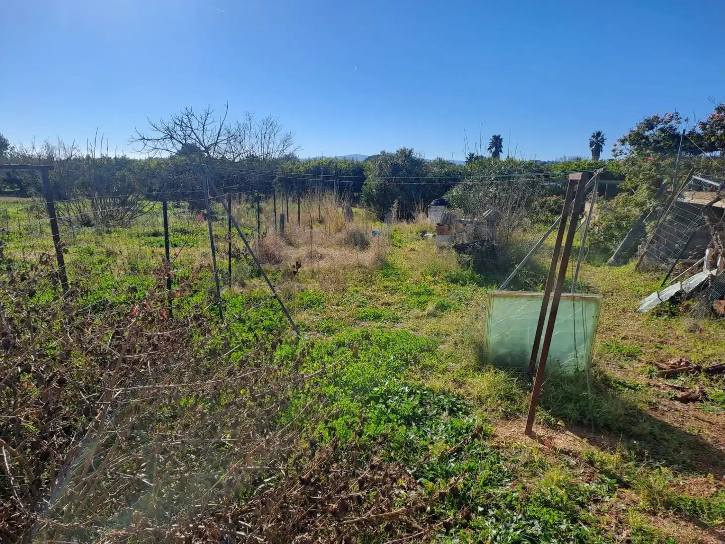 Finca rústica en venda en Benicarló