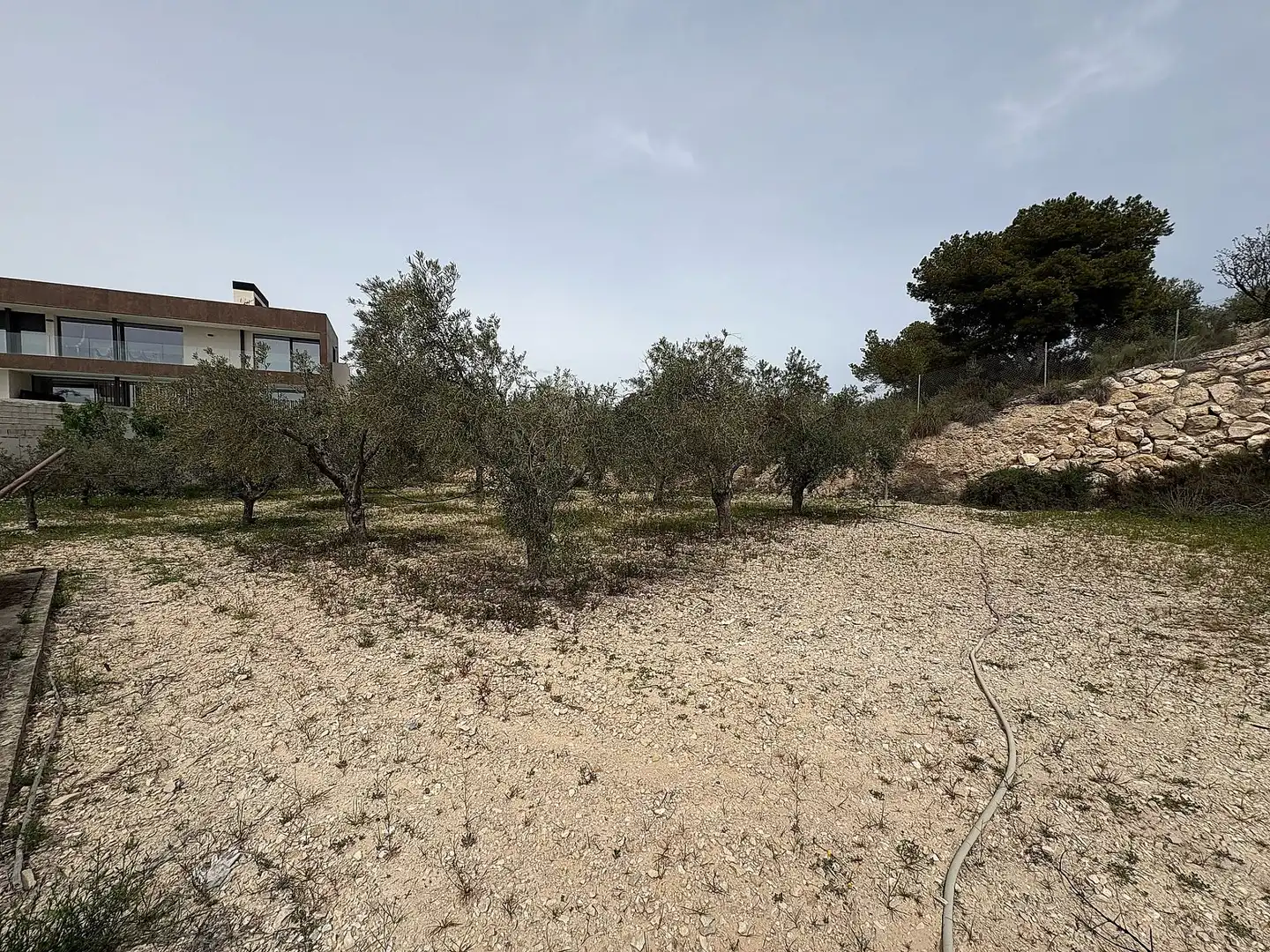 Country house for sale in Petrer, imagen 15