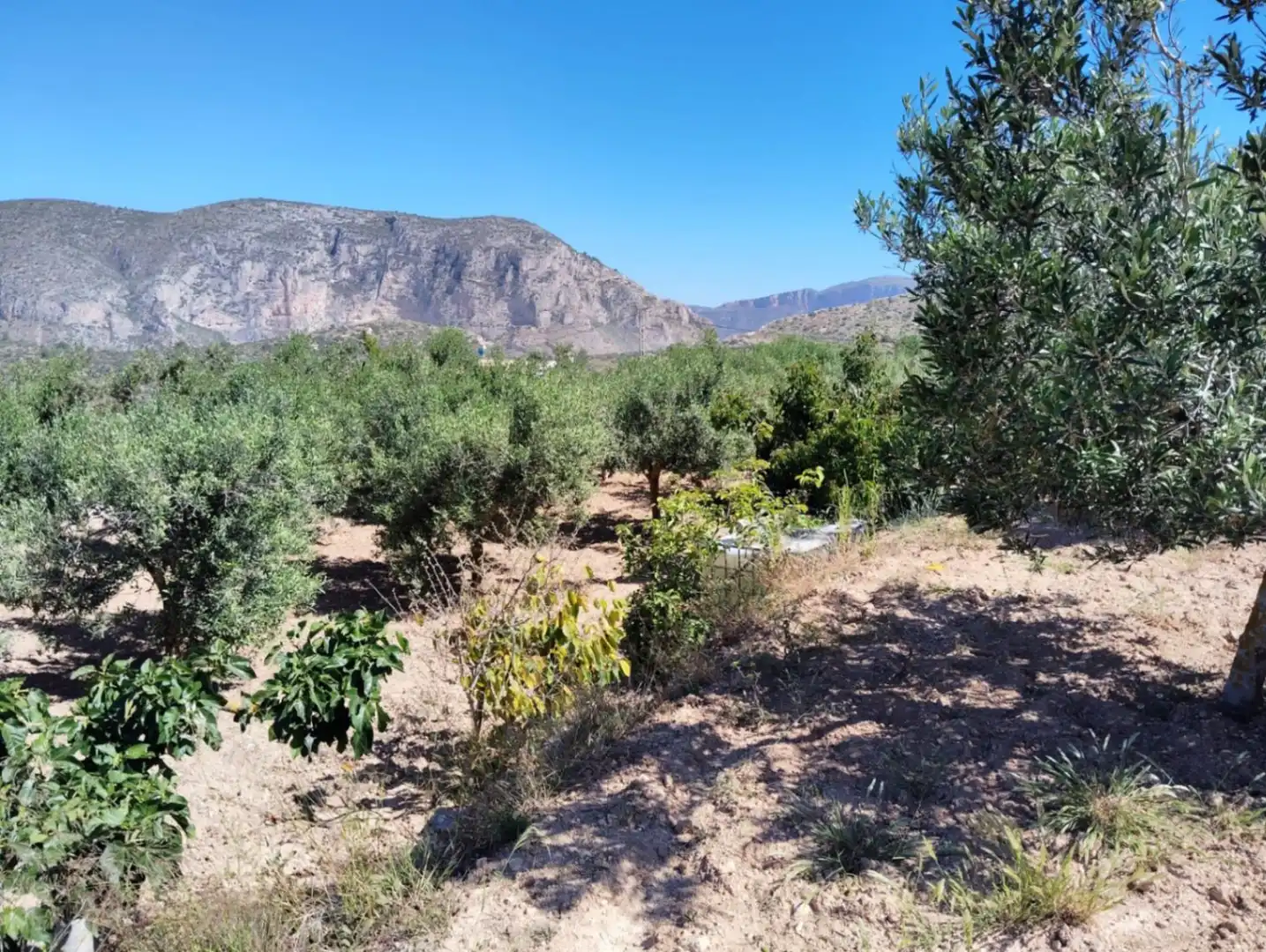 Maison rustique avec piscine à vendre à Teulada, imagen 27