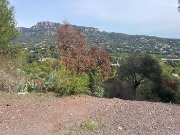 Terreno rustico in vendita a Calle Raval de Roca Bruna