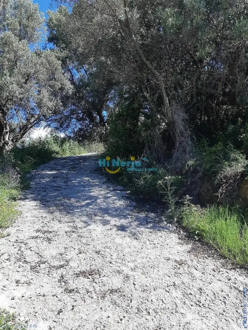 Terreni e lotti in vendita a Torrox Pueblo, imagen 6