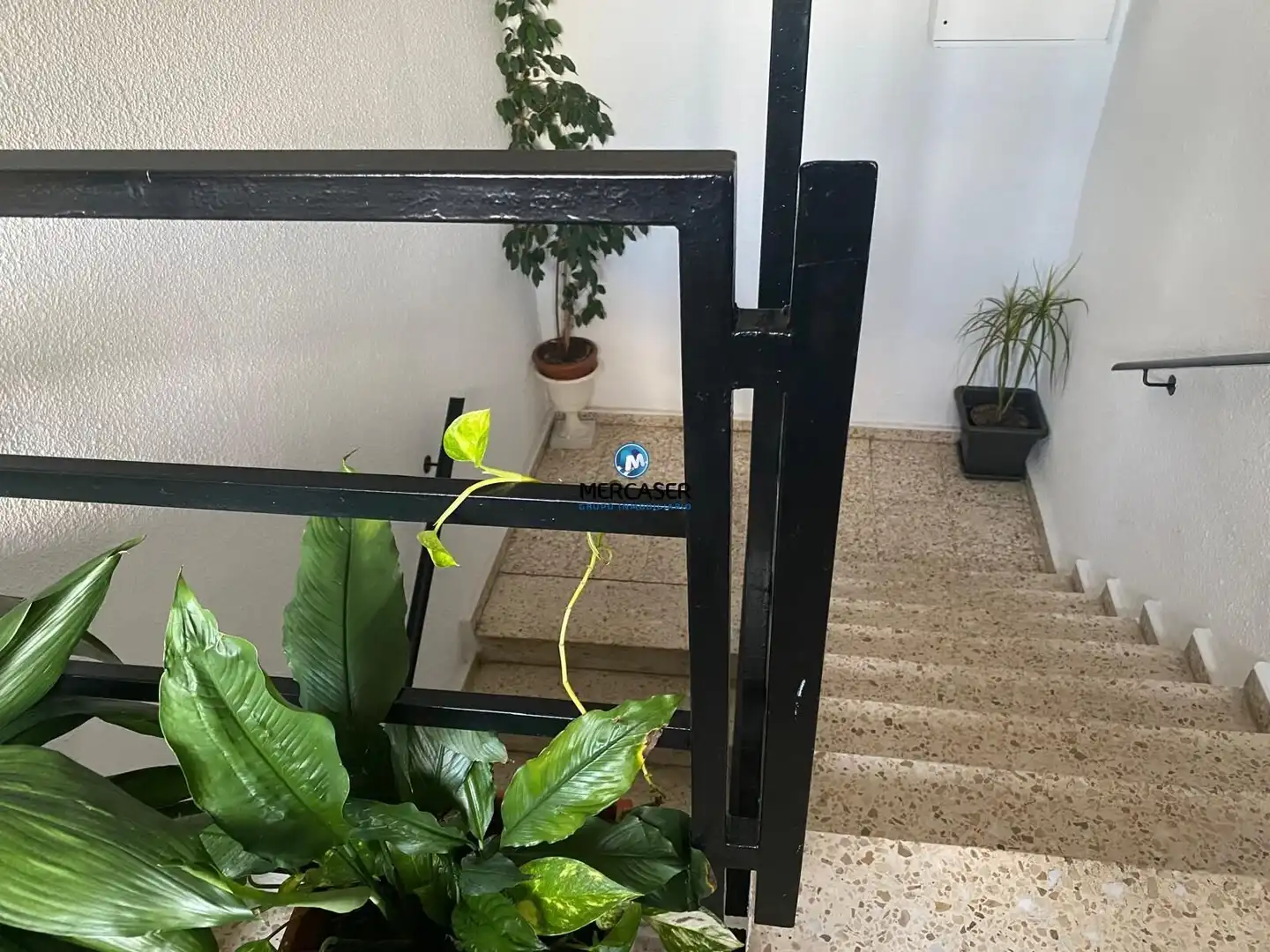 Pis en venda a Reyes Católicos, imagen 17